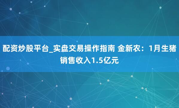 配资炒股平台_实盘交易操作指南 金新农：1月生猪销售收入1.5亿元
