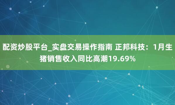 配资炒股平台_实盘交易操作指南 正邦科技：1月生猪销售收入同比高潮19.69%