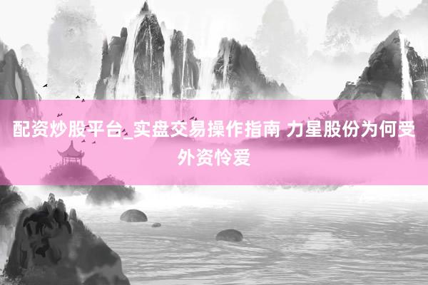 配资炒股平台_实盘交易操作指南 力星股份为何受外资怜爱