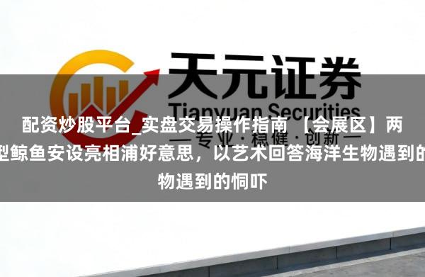 配资炒股平台_实盘交易操作指南 【会展区】两只巨型鲸鱼安设亮相浦好意思，以艺术回答海洋生物遇到的恫吓