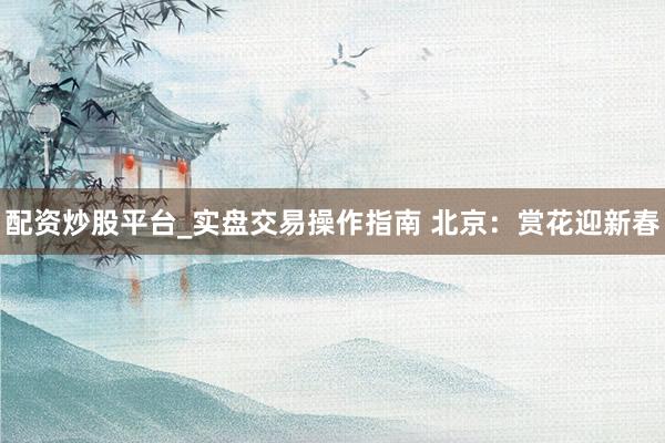 配资炒股平台_实盘交易操作指南 北京：赏花迎新春
