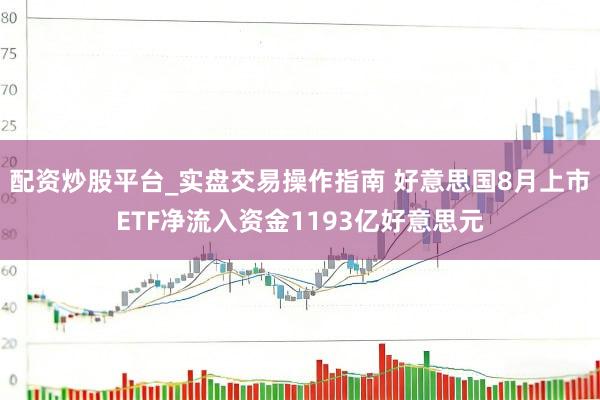 配资炒股平台_实盘交易操作指南 好意思国8月上市ETF净流入资金1193亿好意思元