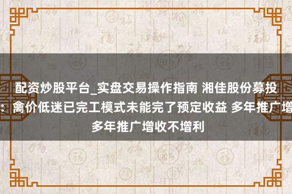 配资炒股平台_实盘交易操作指南 湘佳股份募投模式展期：禽价低迷已完工模式未能完了预定收益 多年推广增收不增利