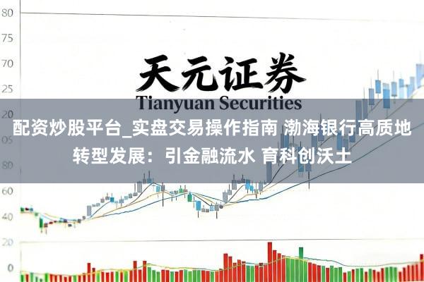 配资炒股平台_实盘交易操作指南 渤海银行高质地转型发展：引金融流水 育科创沃土