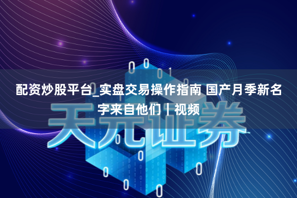配资炒股平台_实盘交易操作指南 国产月季新名字来自他们｜视频