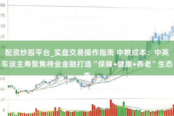 配资炒股平台_实盘交易操作指南 中粮成本：中英东谈主寿聚焦待业金融打造“保障+健康+养老”生态