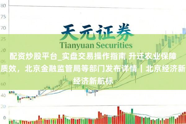 配资炒股平台_实盘交易操作指南 升迁农业保障业绩质效，北京金融监管局等部门发布详情｜北京经济新航标