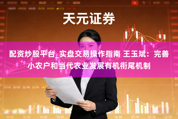 配资炒股平台_实盘交易操作指南 王玉斌：完善小农户和当代农业发展有机衔尾机制