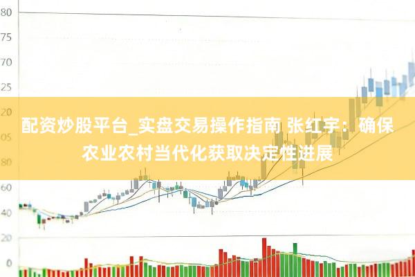 配资炒股平台_实盘交易操作指南 张红宇：确保农业农村当代化获取决定性进展