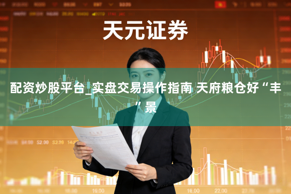 配资炒股平台_实盘交易操作指南 天府粮仓好“丰”景