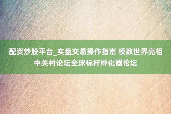 配资炒股平台_实盘交易操作指南 模数世界亮相中关村论坛全球标杆孵化器论坛